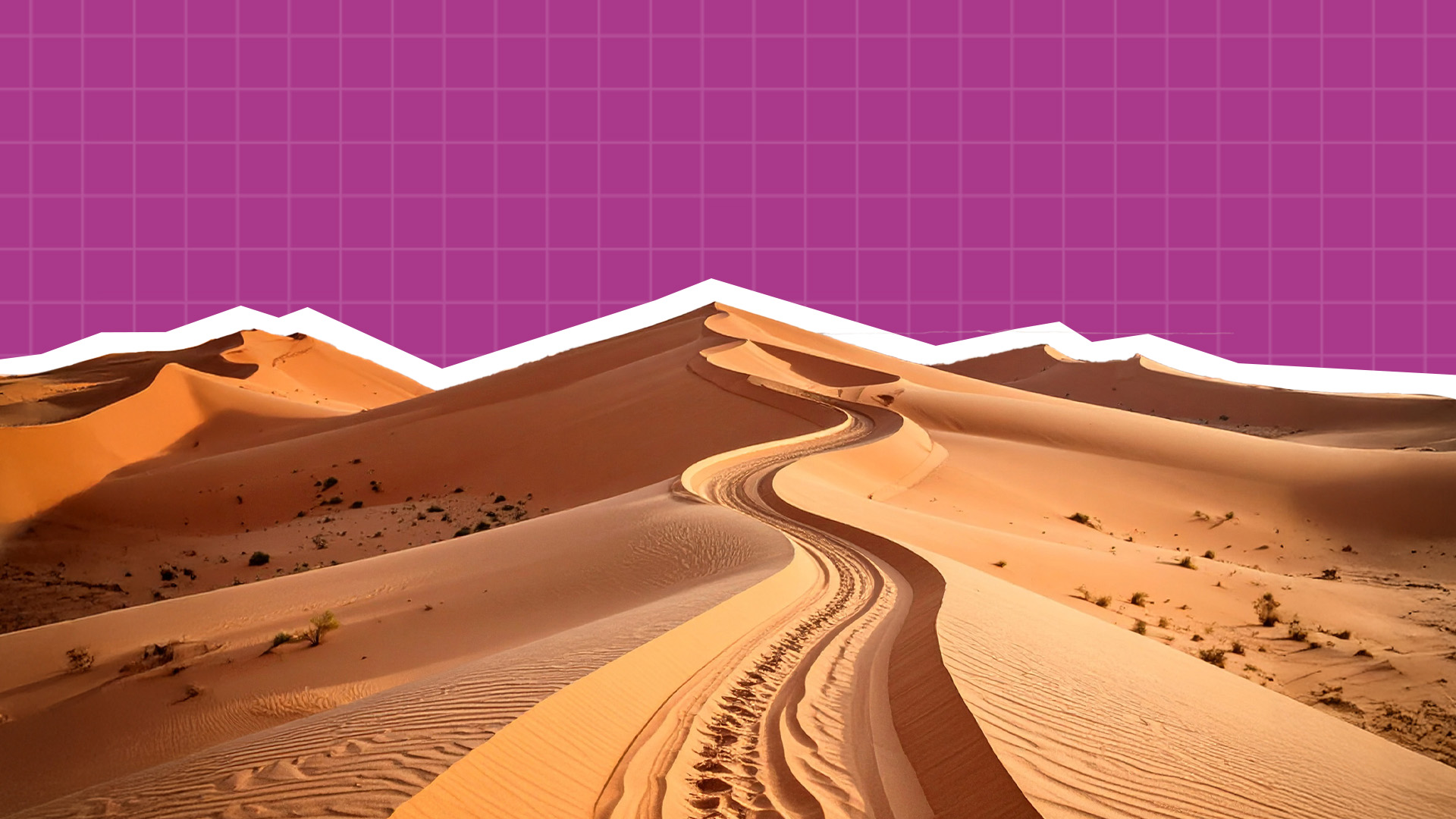 The Long Road: A Story of Conversion Rate Optimization 