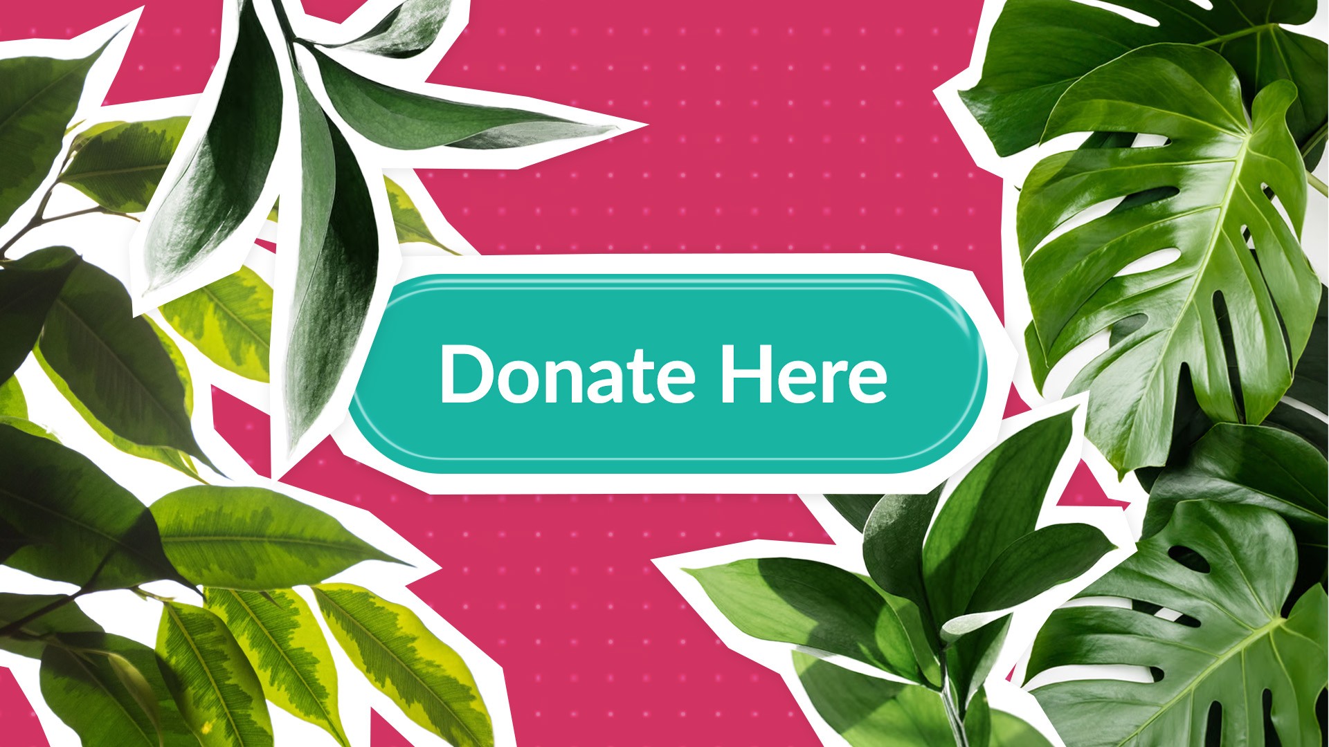 Designing a Donation Page Ecosystem