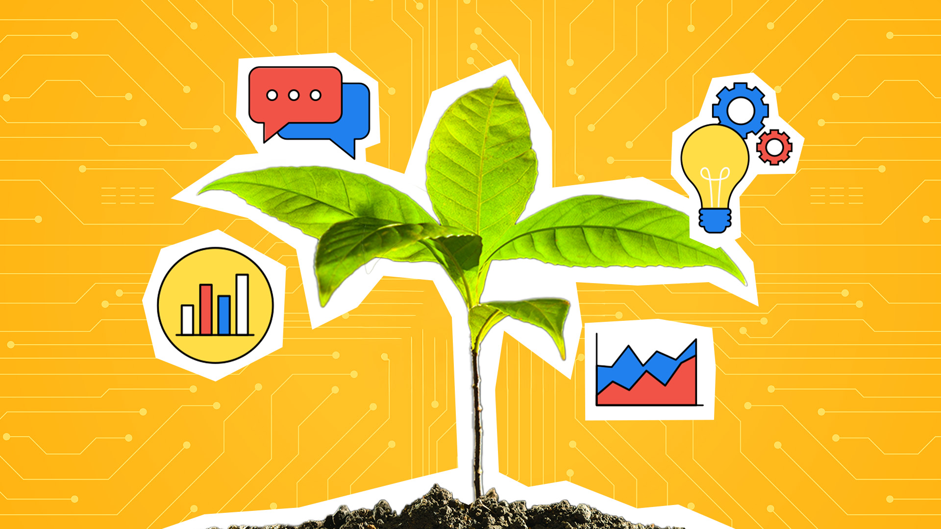 Brand vs. Performance: What CEOs and CFOs Need to Know About Digital Marketing ROI