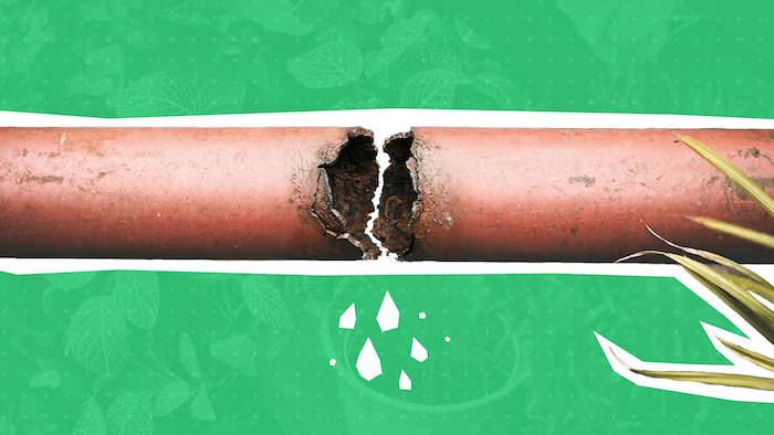 The Leak Quietly Undermining Your Acquisition Strategy