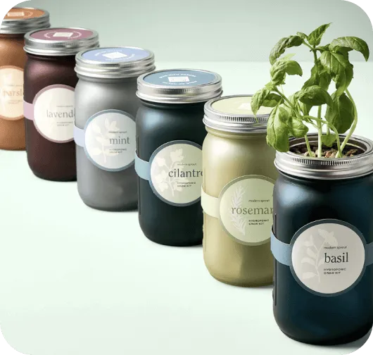 Six herb garden jars labeled parsley, lavender, mint, cilantro, rosemary, and basil with basil growing.