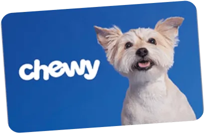 כלב חמוד עם פרווה לבנה מול רקע כחול ולוגו chewy בצד שמאל.