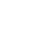 Training (In-House or Virtual)