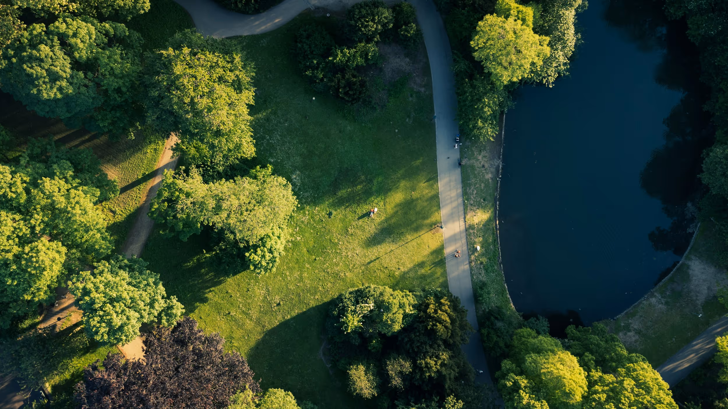 Park shot from above