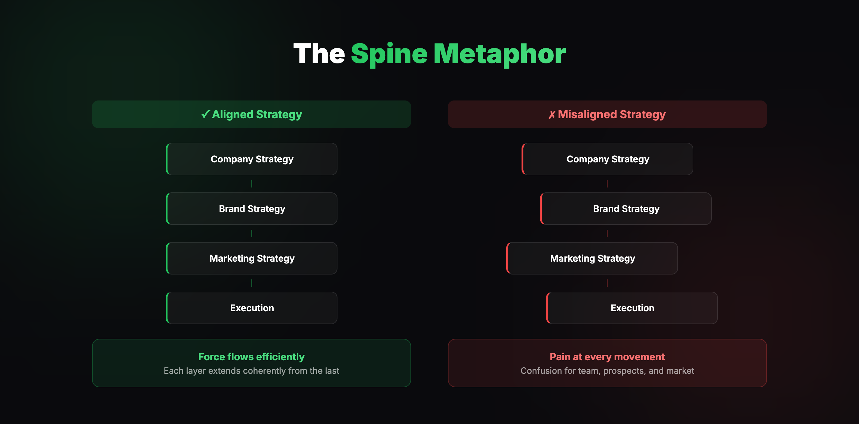 The Spine Metaphor