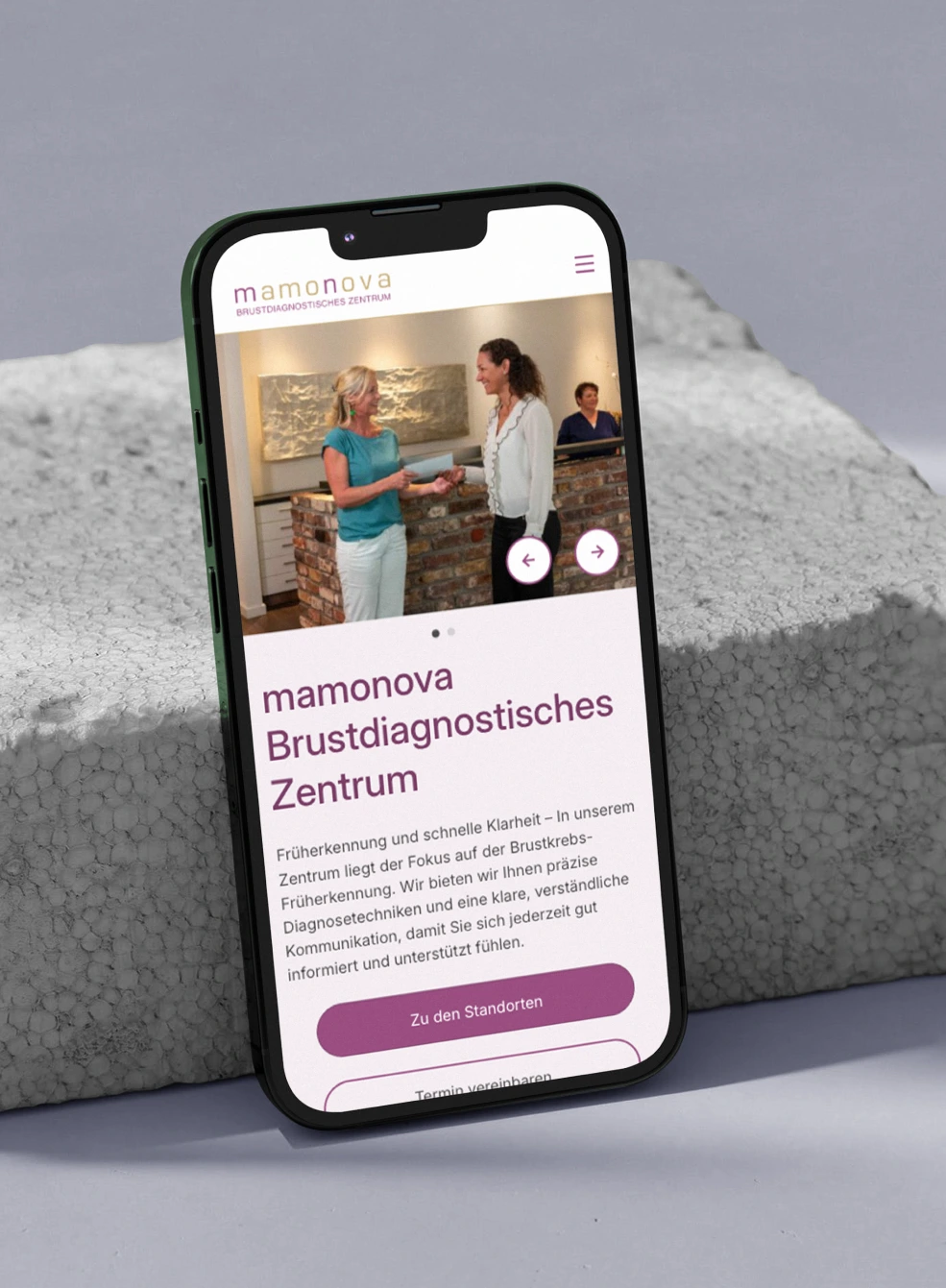 Mockup Bild von der mamonova Seite
