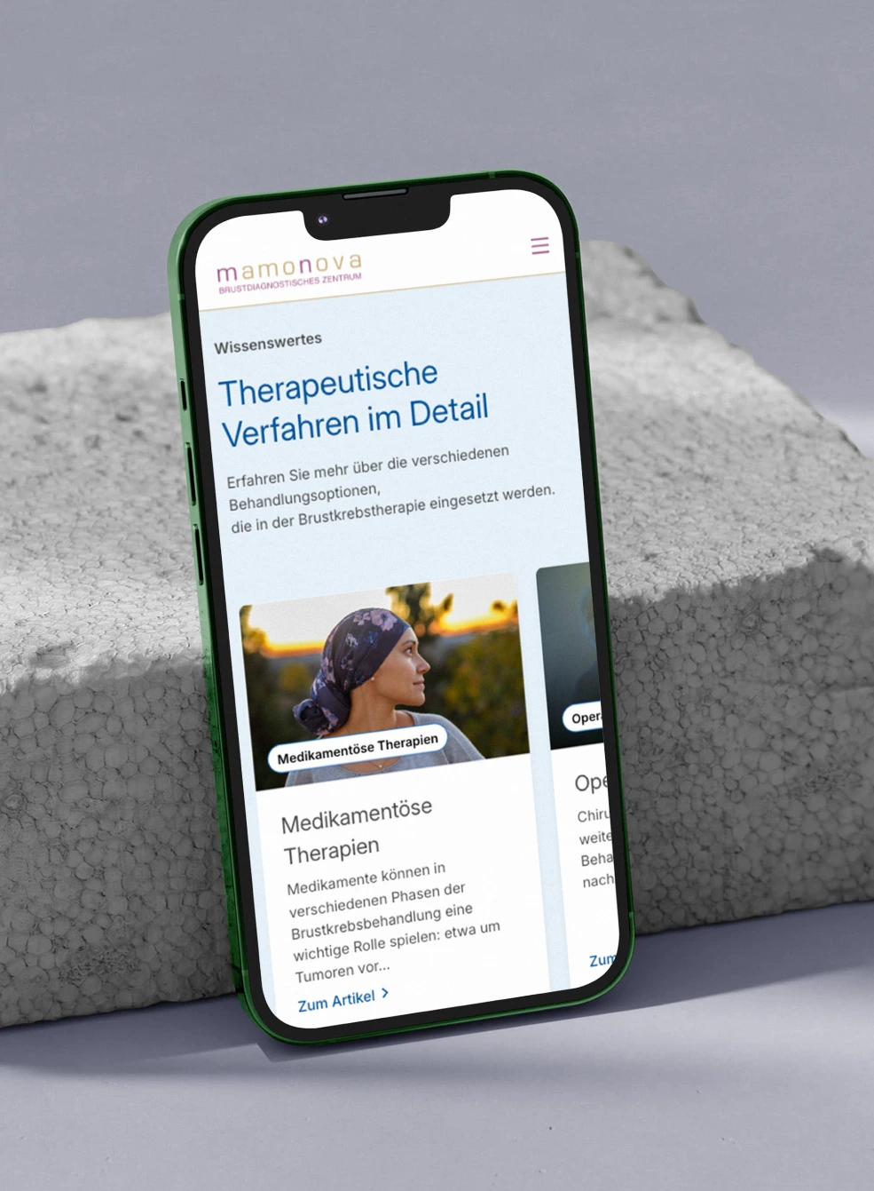 Mockup Bild von der mamonova Seite