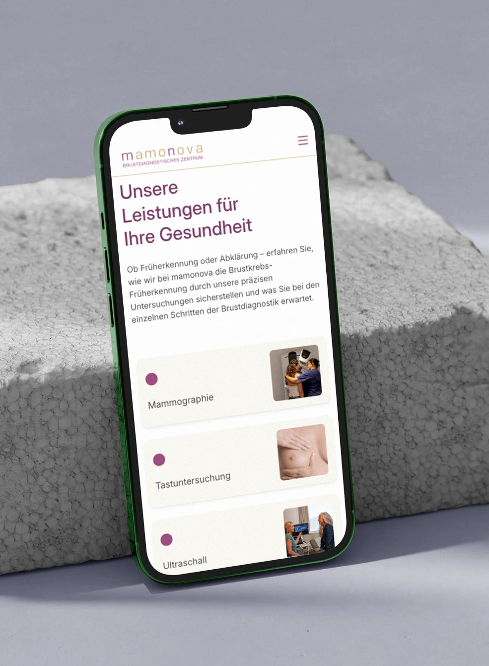 Mockup Bild von der mamonova Seite