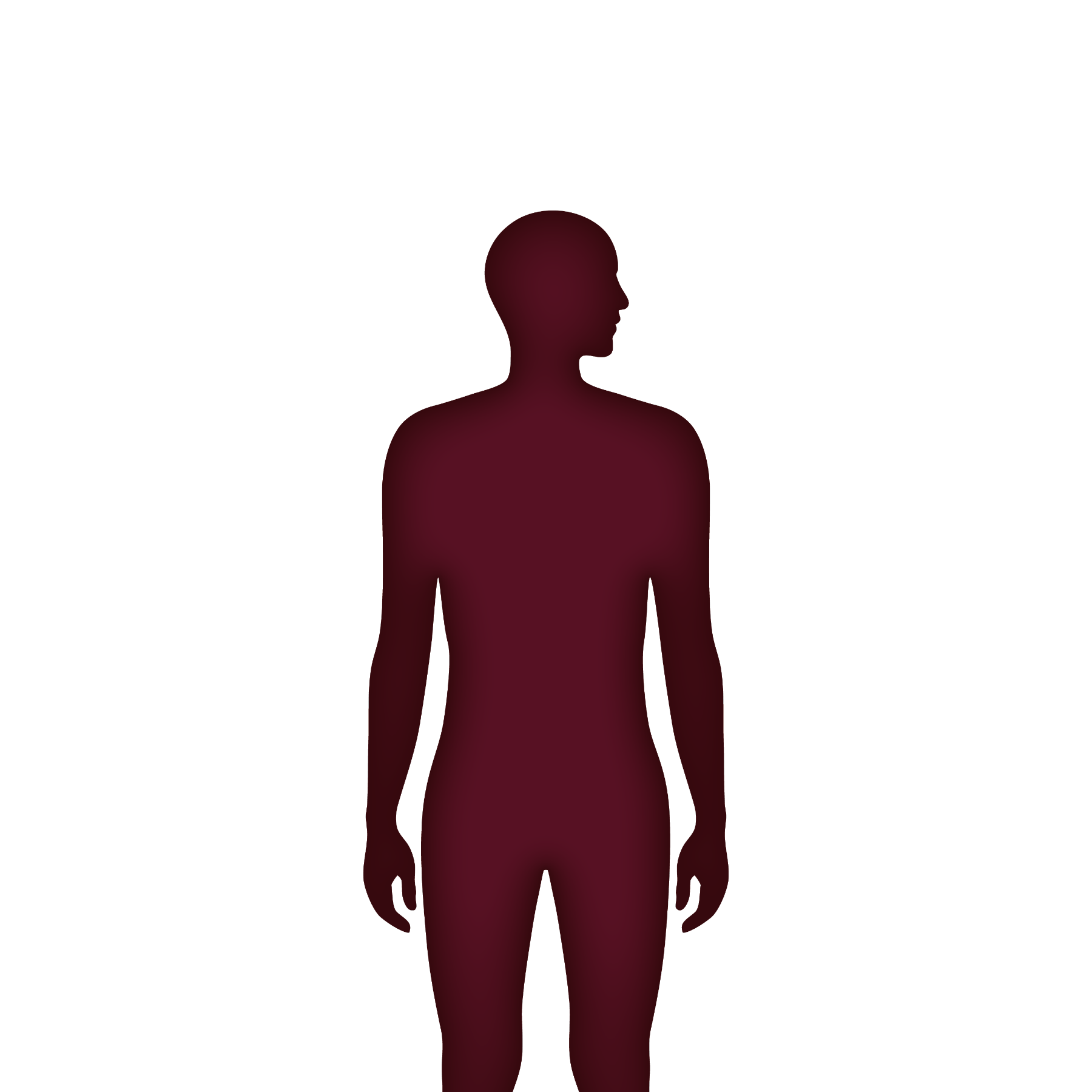 Male Body