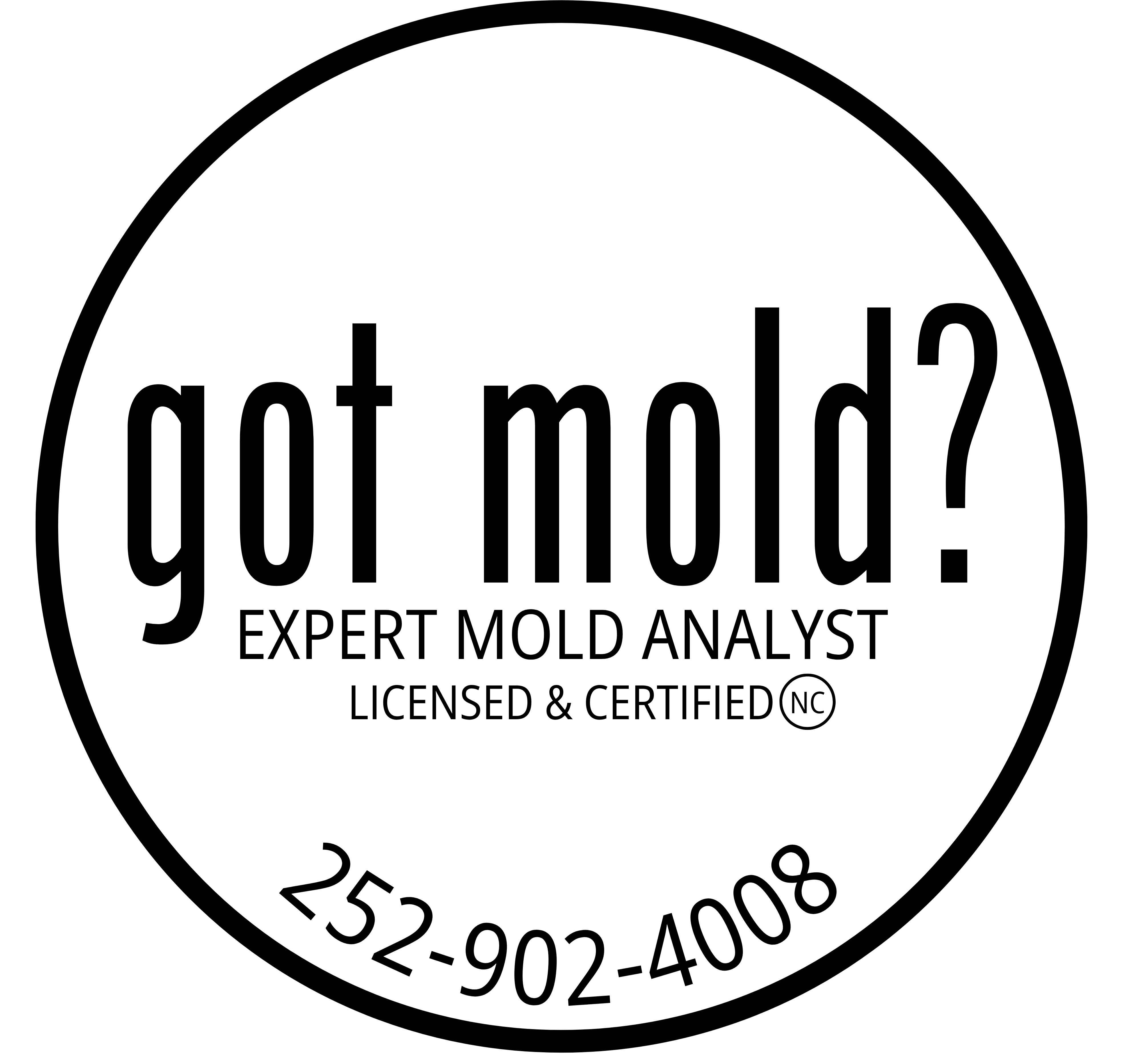 Got Mold