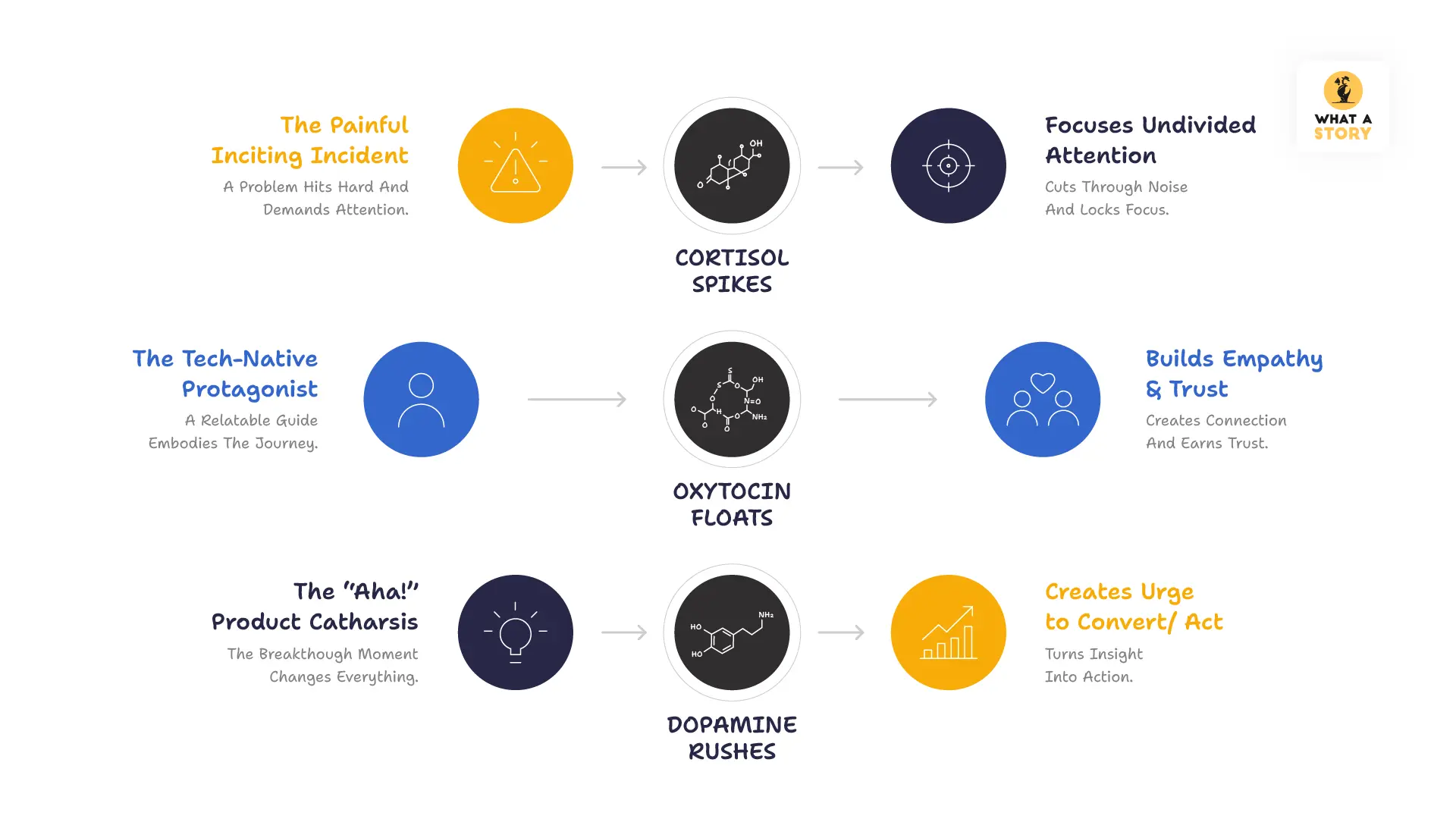 three-part chemical sequence in brain