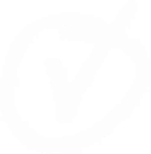White hand-drawn check mark inside a rough circular outline on a transparent background.