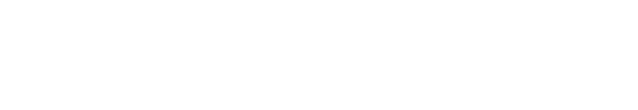 NASCAR logo with stylized vertical bars and bold uppercase letters.
