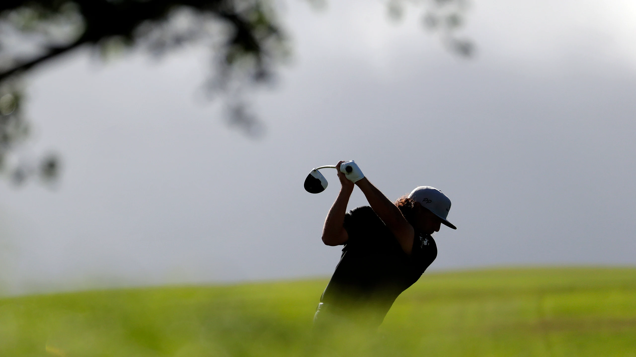 Golfer in mid-swing silhouette on a golf course with green grass and a blurred tree branch overhead.