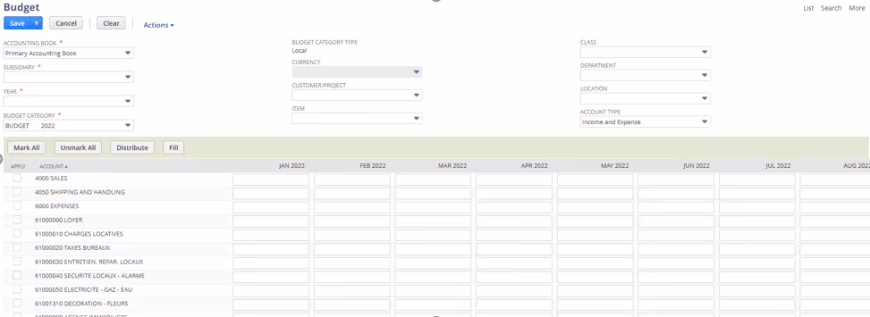 Instelling van een standaardbudget in NetSuite per dochteronderneming, boekjaar en budgetcategorie