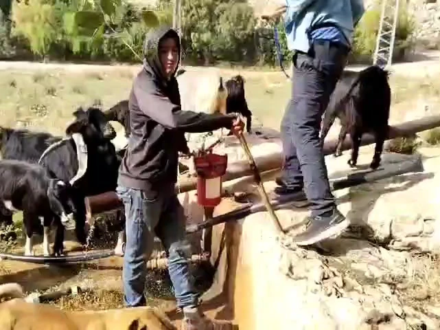 סיפור לערב חג