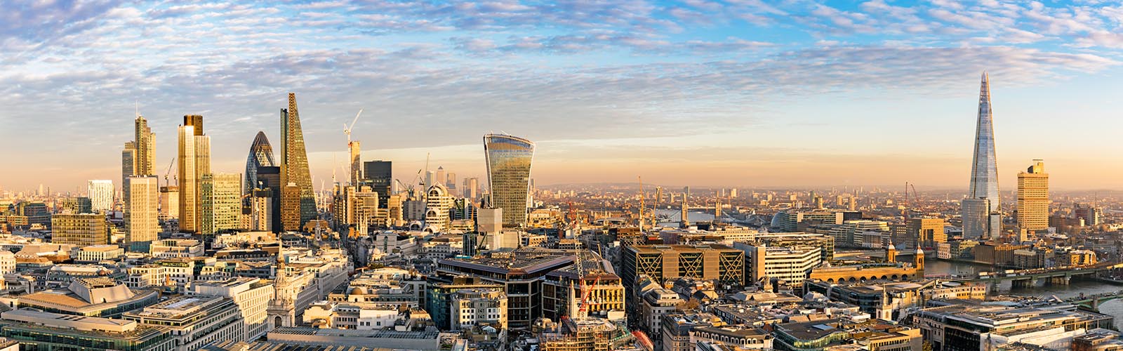 Belgravia Law newsletter (May 2025) — May 2025 Legal Insights and Updates