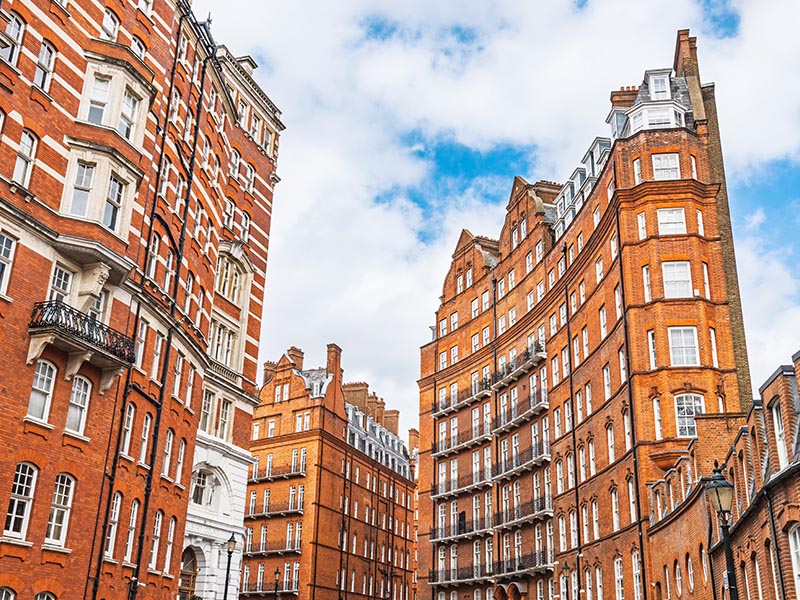 Belgravia Law newsletter (May 2025) — May 2025 Legal Insights and Updates