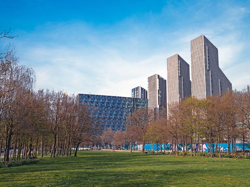 Belgravia Law newsletter (May 2025) — May 2025 Legal Insights and Updates