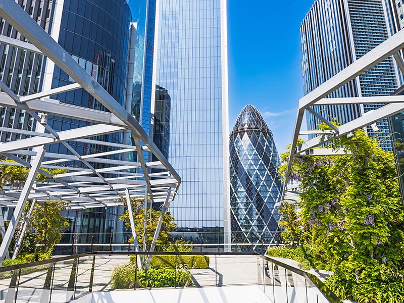 Belgravia Law newsletter (September 2025) — Belgravia Law September Newsletter