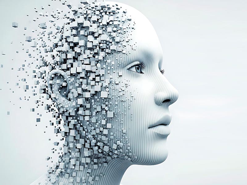 Belgravia Law newsletter (September 2025) — Belgravia Law September Newsletter