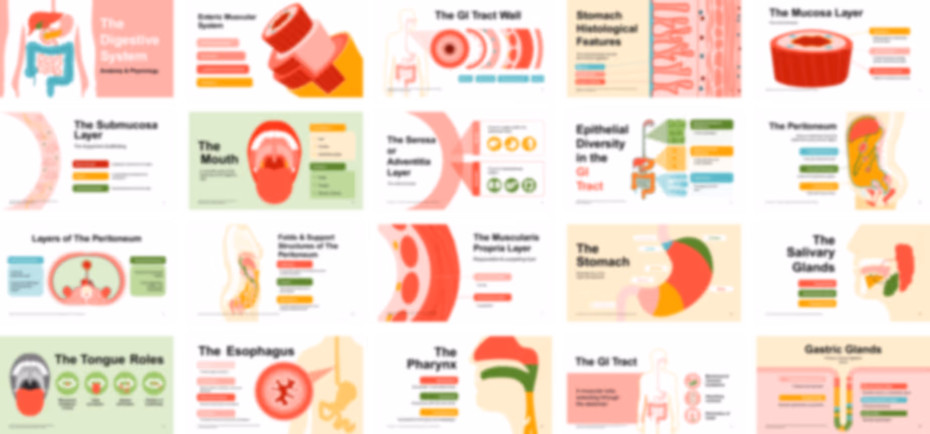 Digestive system physiology and anatomy presentation slides preview showing organs, functions, and digestive processes