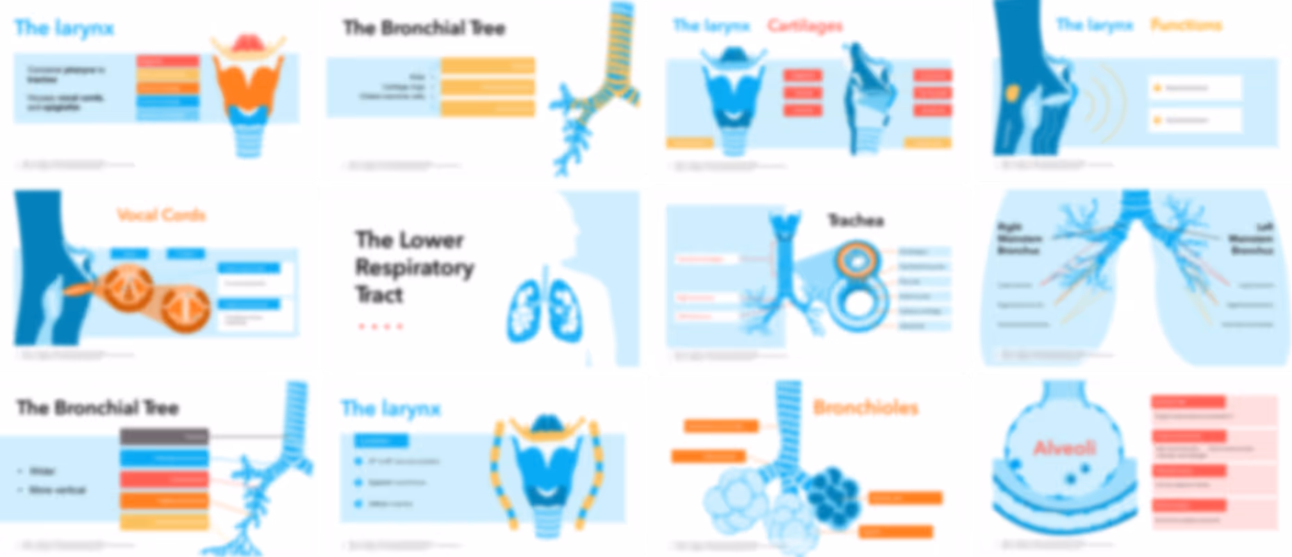 Ready-made respiratory system physiology and anatomy presentation slides with medical diagrams, charts, and clinical explanations