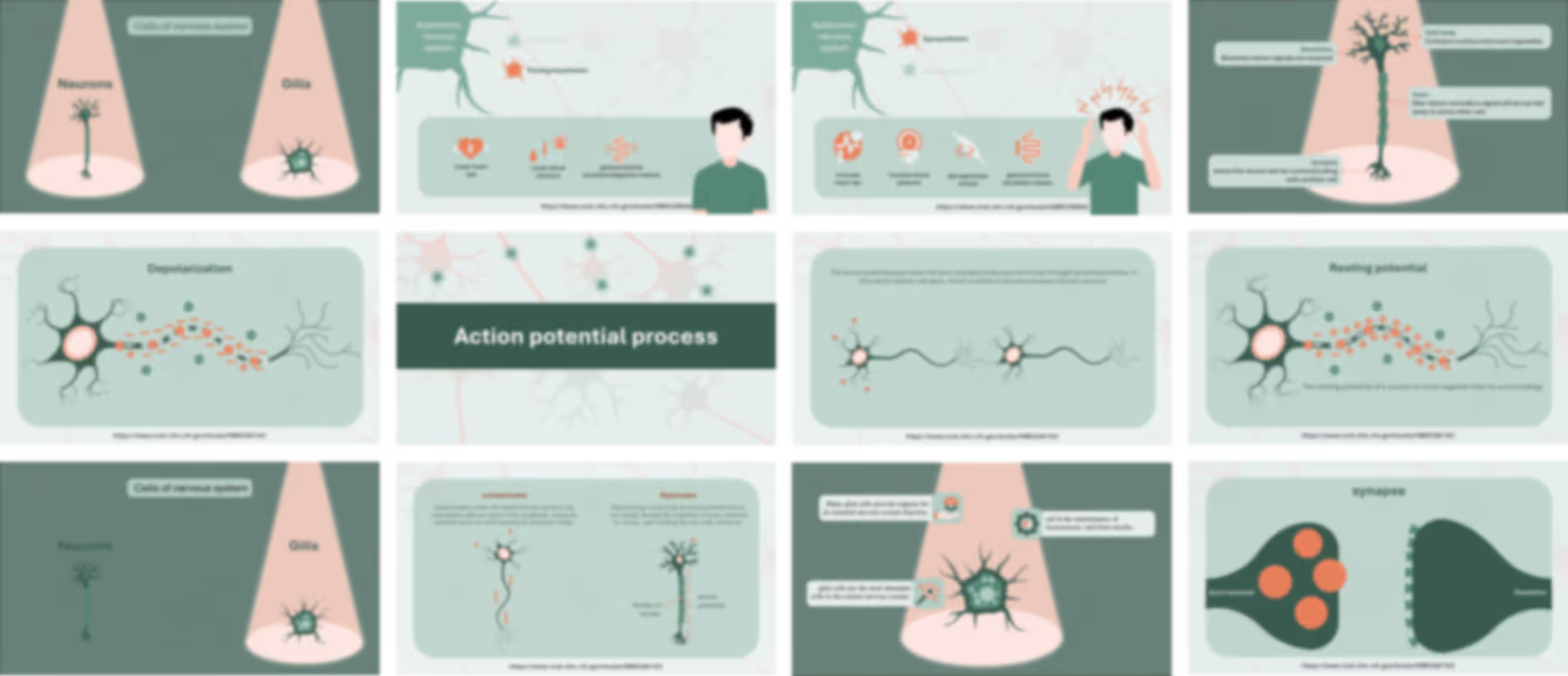 Nervous system anatomy pitch deck example with neural pathway visuals and structured medical presentation design