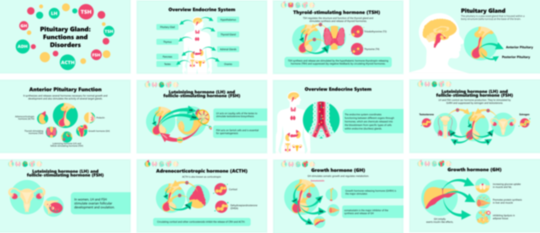 Pituitary gland functions and disorders presentation slides preview showing hormone regulation and endocrine disorders