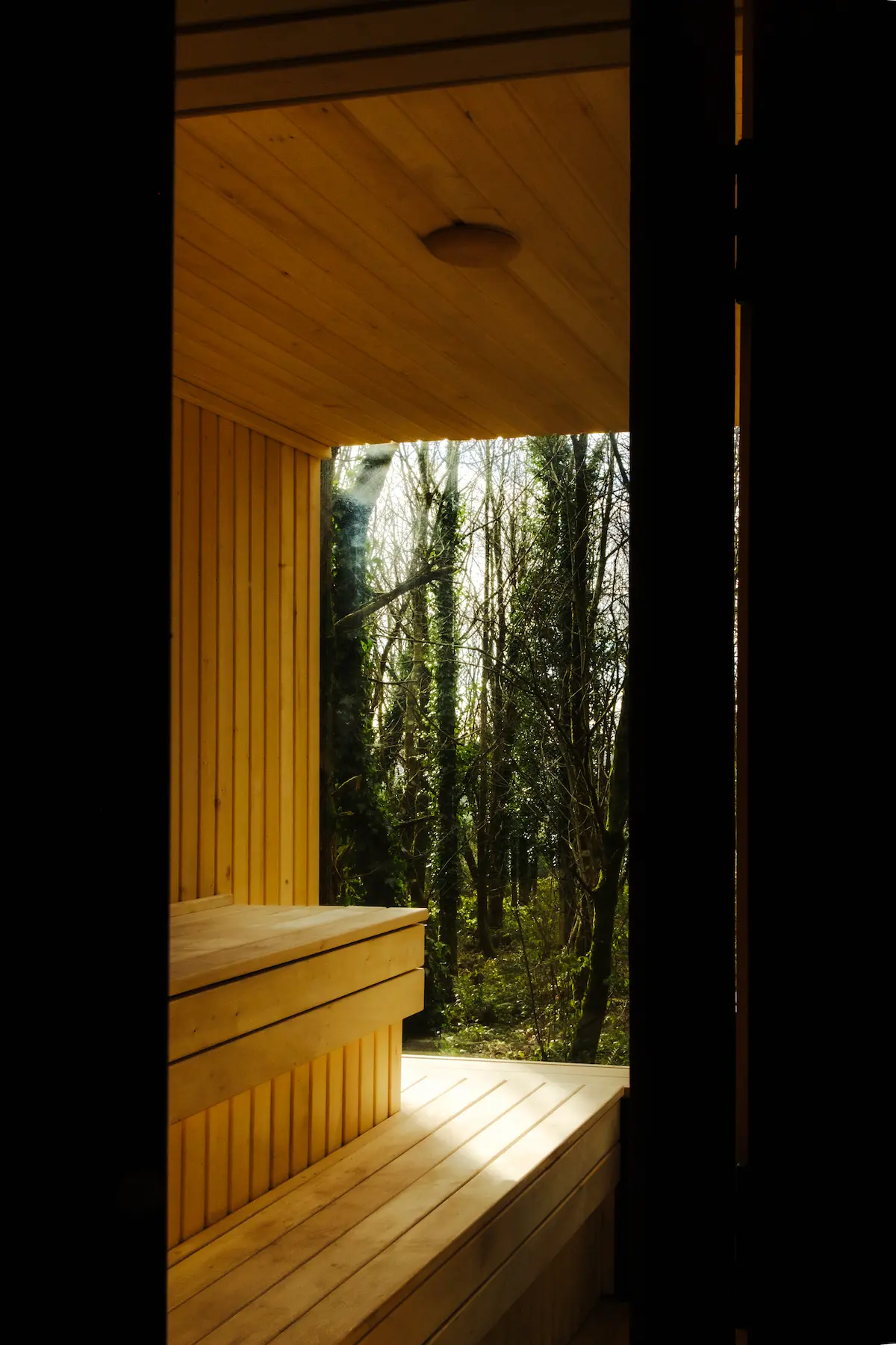 Inside Sauna In The Woods bench wood