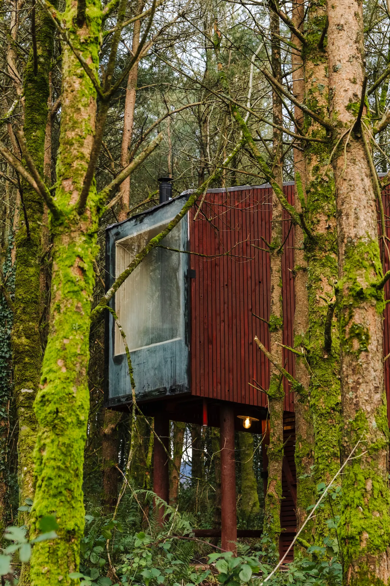 Sauna In The Woods side through trees