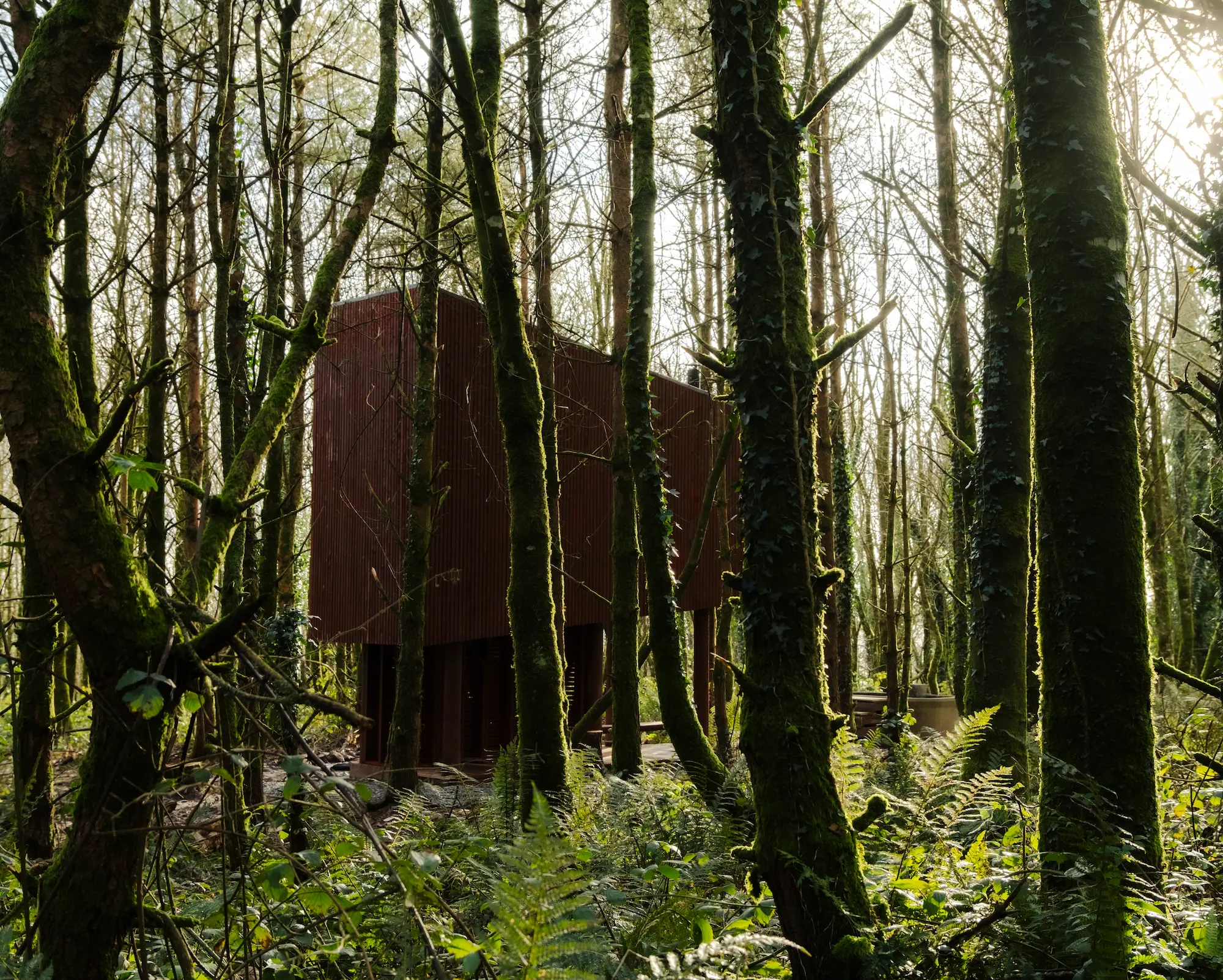 The Sauna In The Woods side view through trees