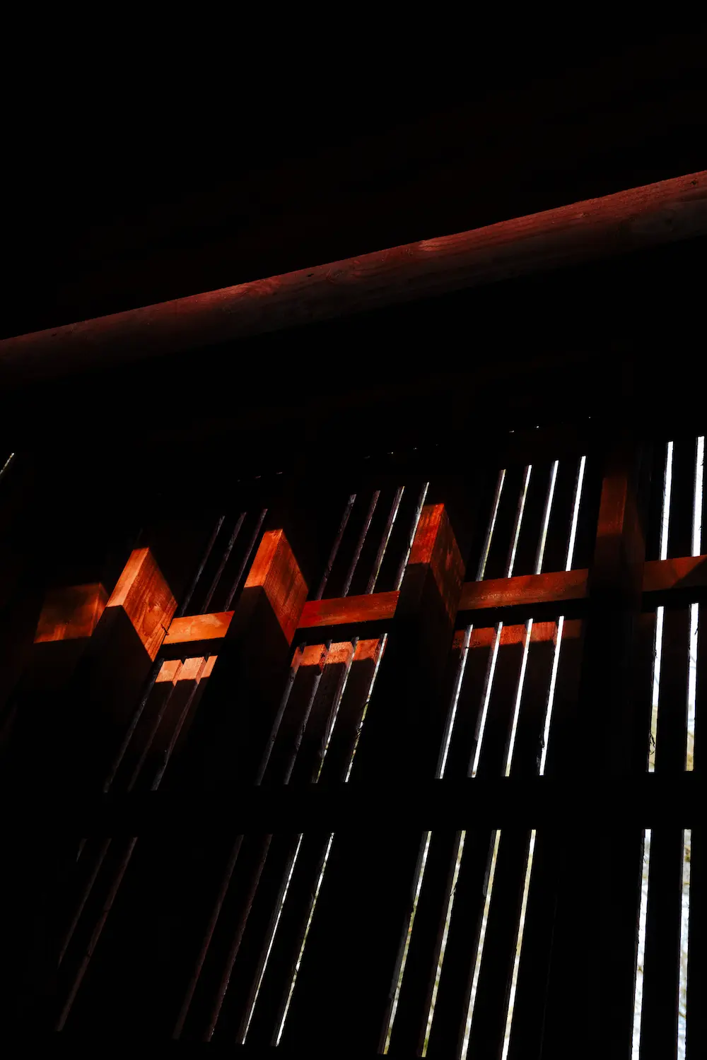 Sauna In The Woods interior light play against timber work