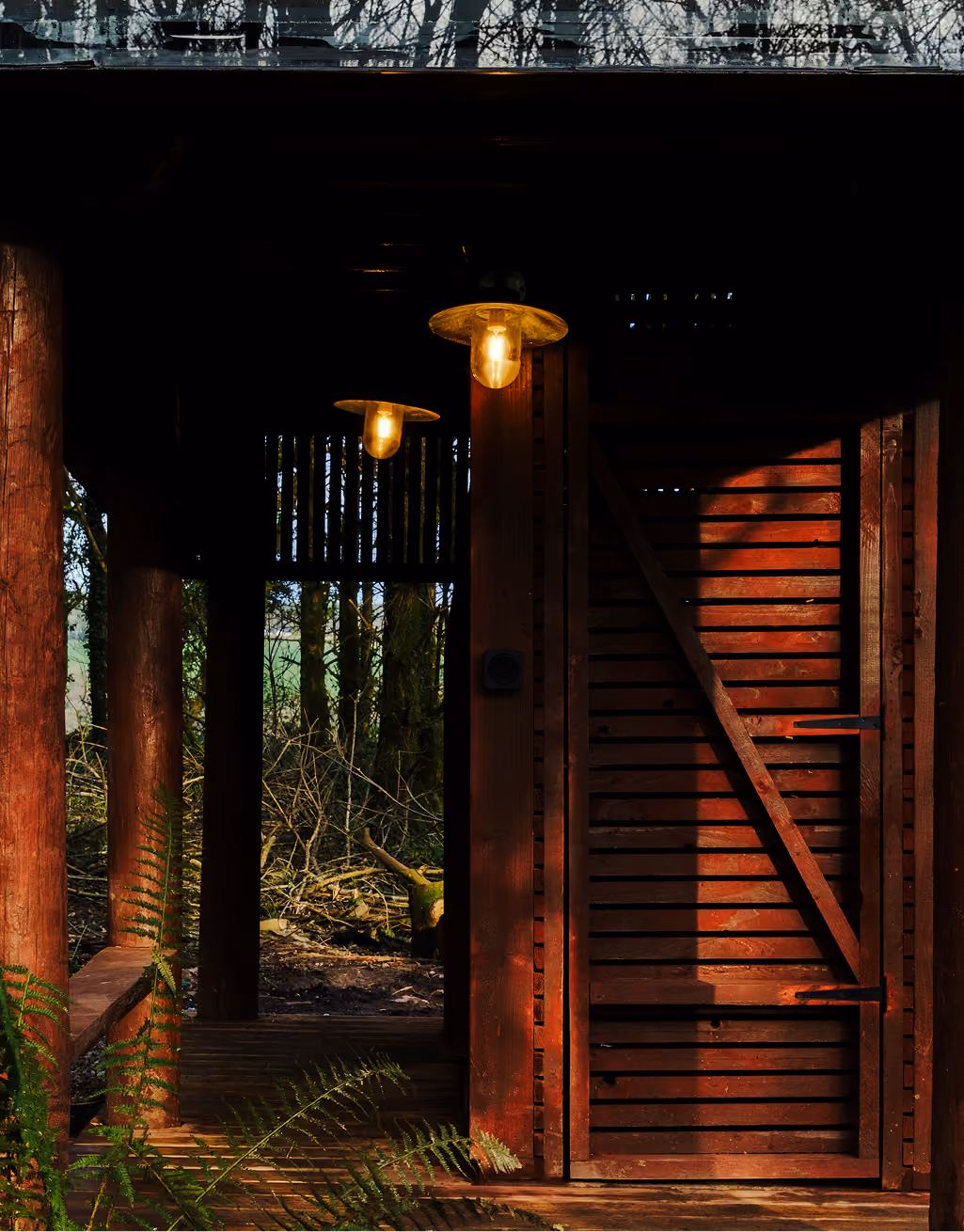 Wooden sauna door with diagonal braces and two vintage style ceiling lights glowing inside.