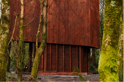 Red wooden cabin elevated on stilts surrounded by moss-covered trees in a forest.