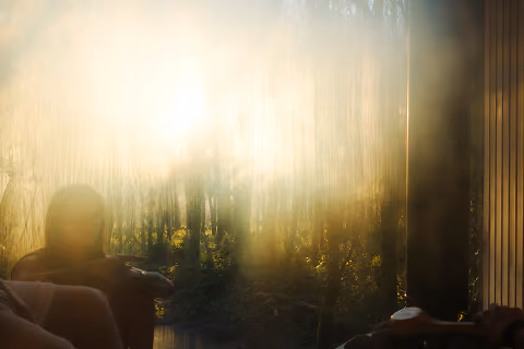 Silhouetted person sitting by a window with bright sunlight and forest visible outside.