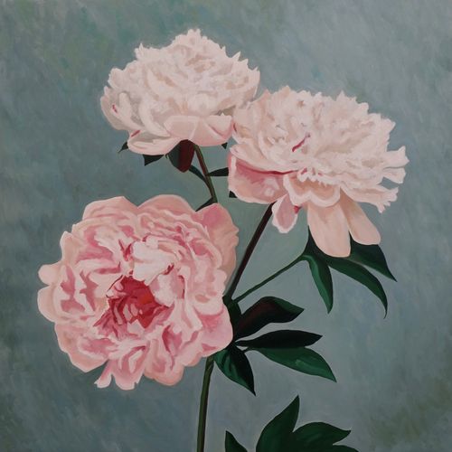 Oil painting of three white-pink peonies over the blue background.