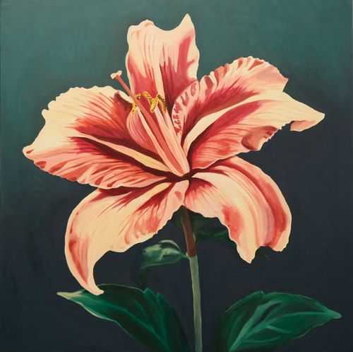 Oil painting of fully blown pink lily over the gradient green-blue background.