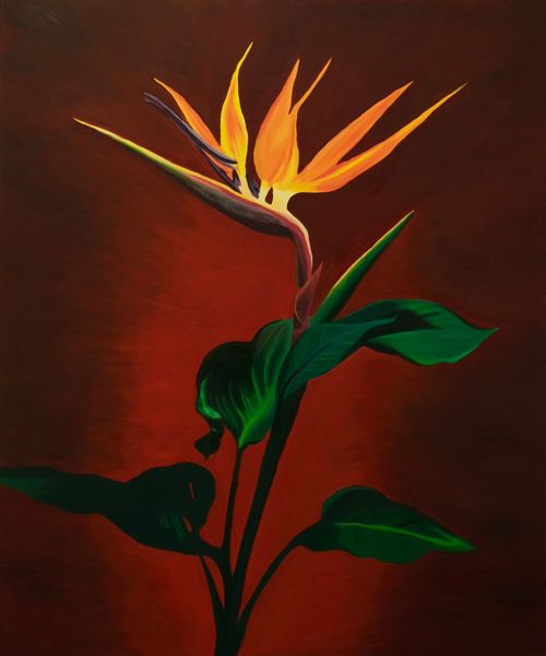 Oil painting depicting a strelitzia flower against the vivid red background with dramatic light