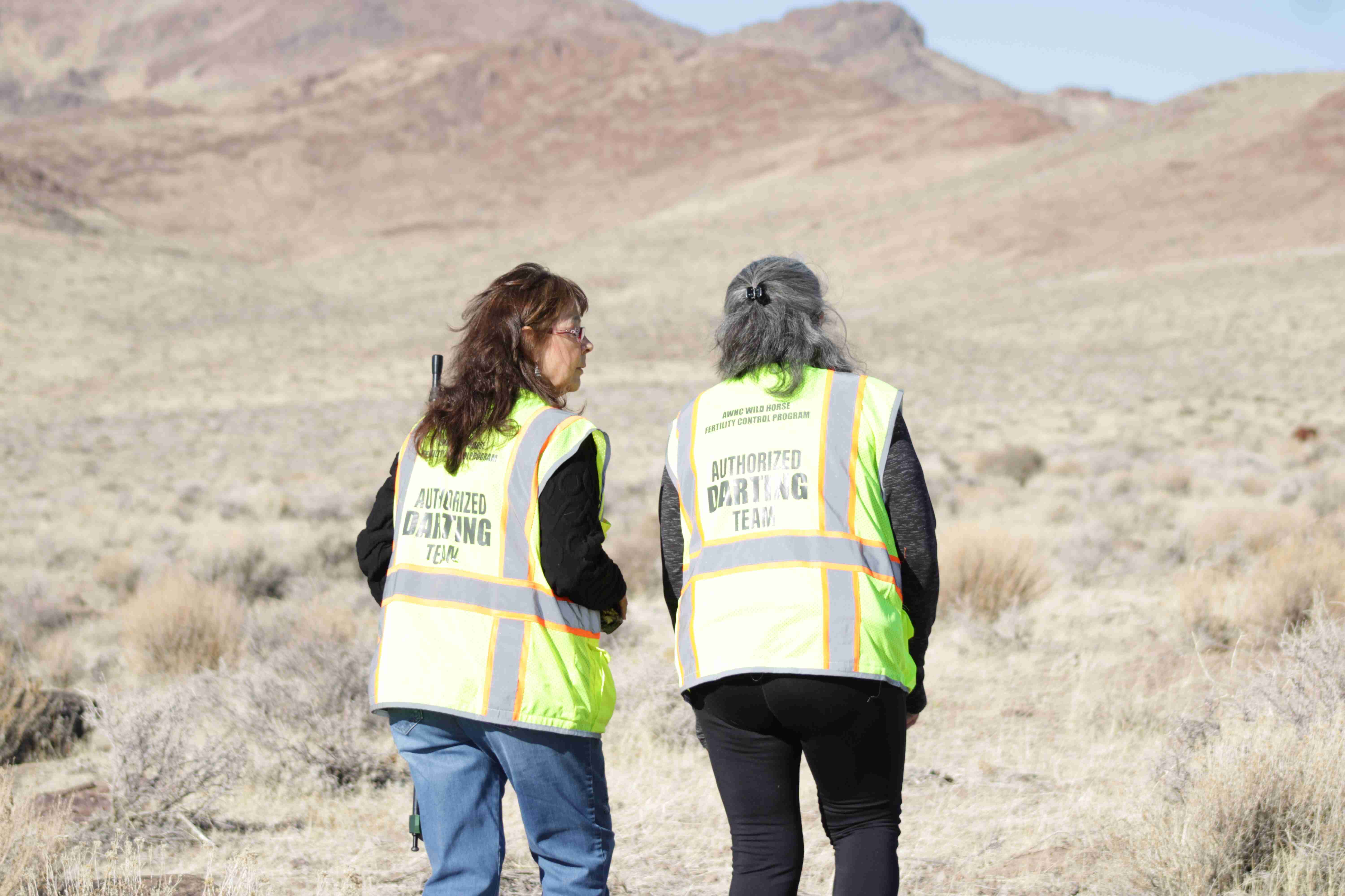 Six Years In, Nation’s Leading Wild Horse Fertility Control Program Delivers Groundbreaking Results 
