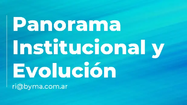 Texto que dice Panorama Institucional y Evolución con fondo en tonos azules.