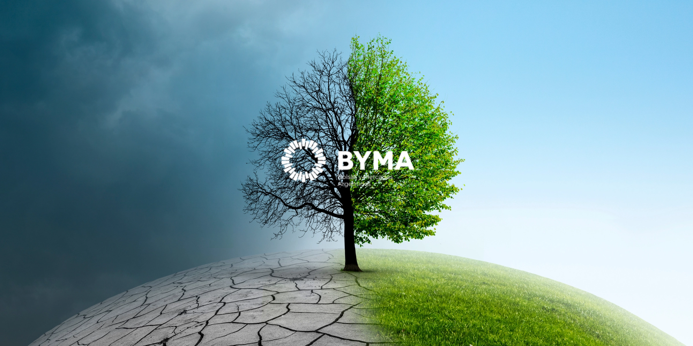Foro Valos 2025 alcanza la neutralidad de carbono a través del Mercado Voluntario de Carbono de BYMA 