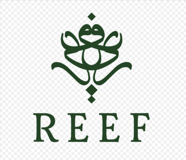 best online shopping app in riyadh perfume