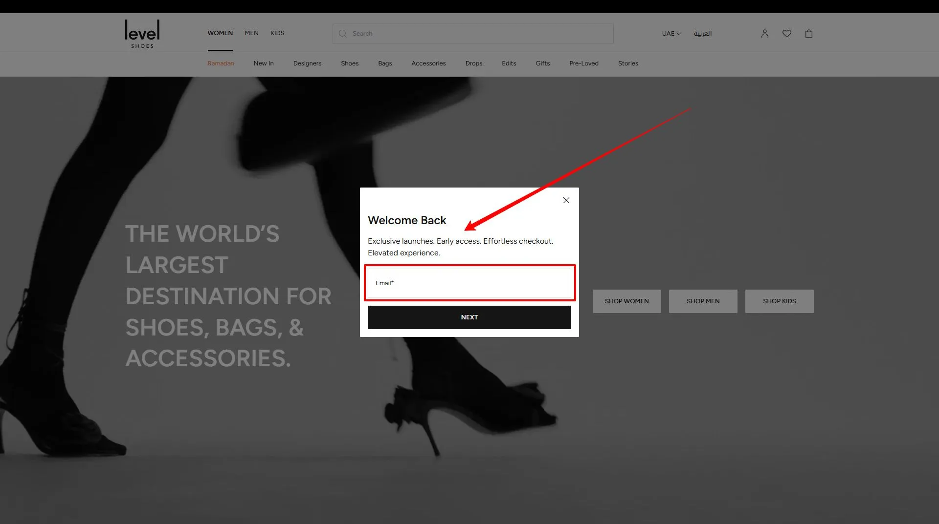 How to Use a Level Shoes Discount Code