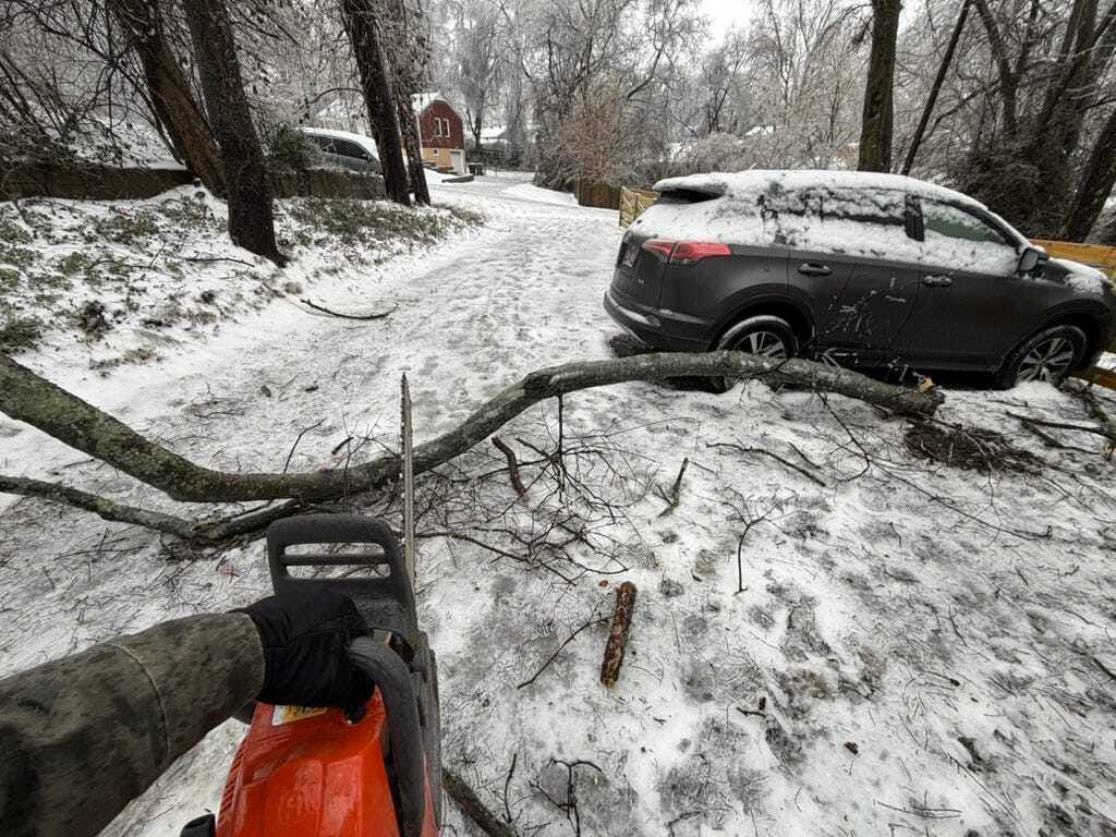 Cutting the fallen branch with a chainsaw