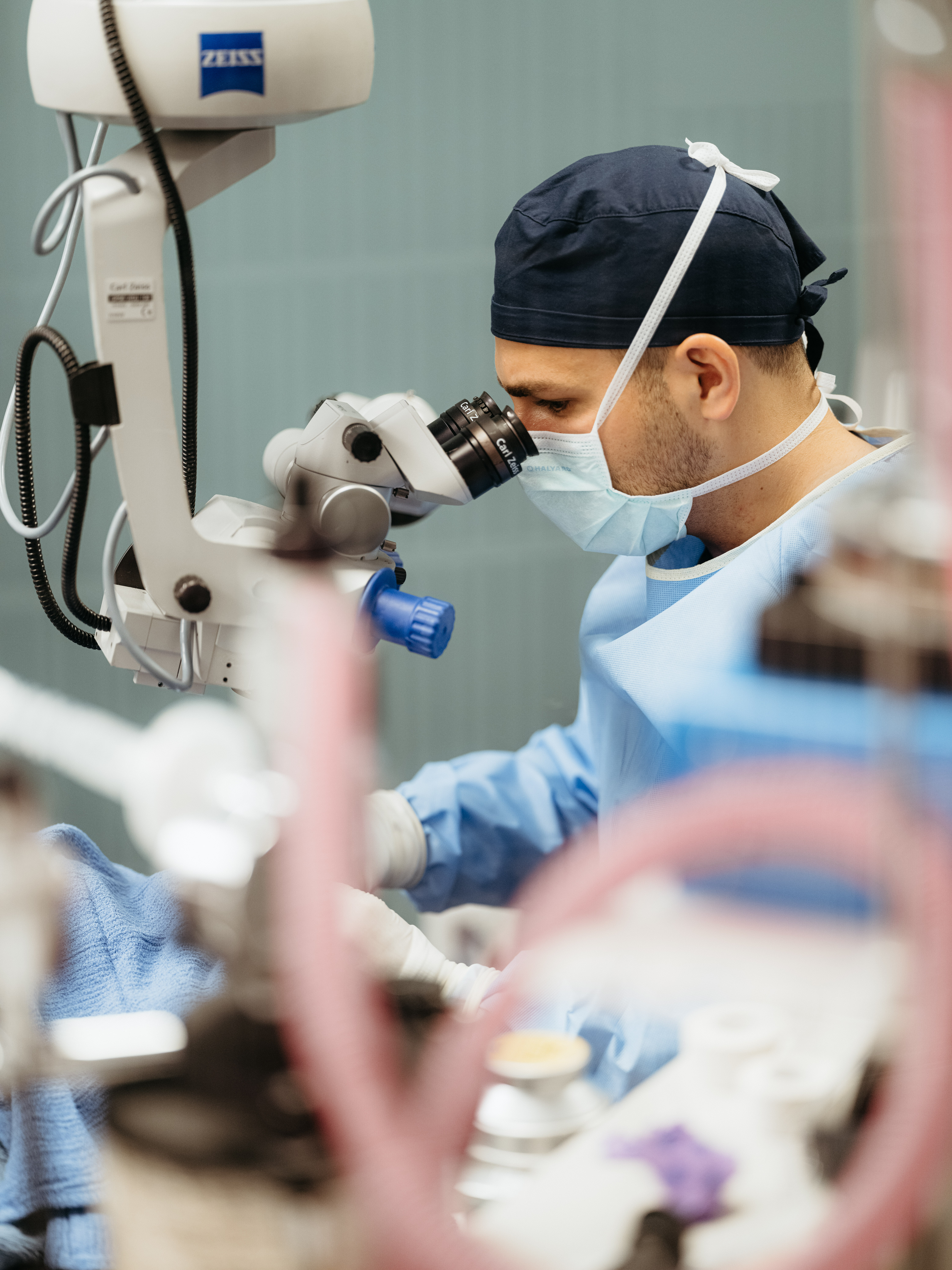 veterinary ophthalmologist performing surgery
