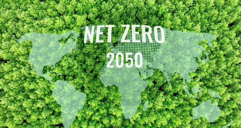 IEA Report Highlights Need for Continued Investment in Existing Oil and Gas Fields