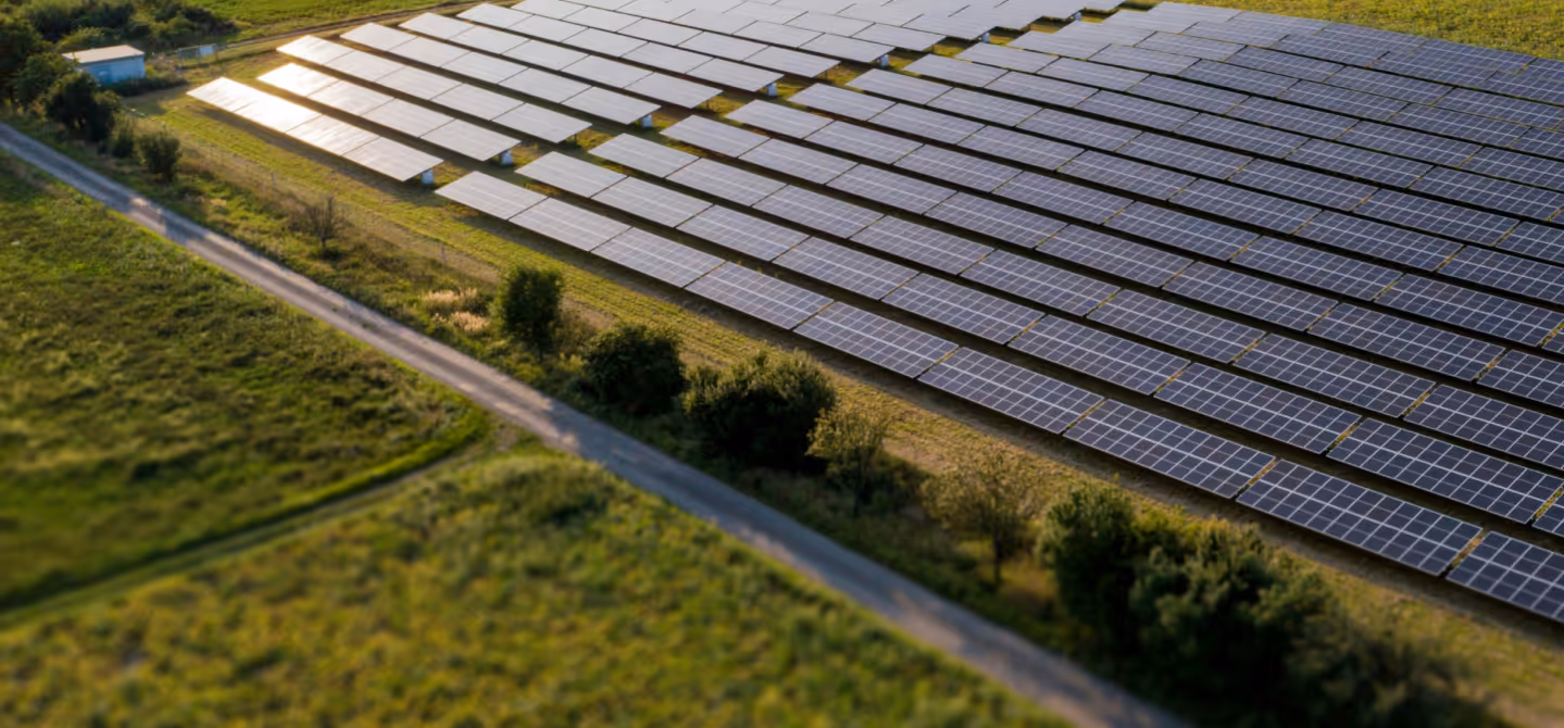 Aerial view of a large solar panel farm with multiple rows of blue photovoltaic panels arranged in parallel lines across green countryside, with a paved road running diagonally through the scene and scattered trees and vegetation surrounding the installation.