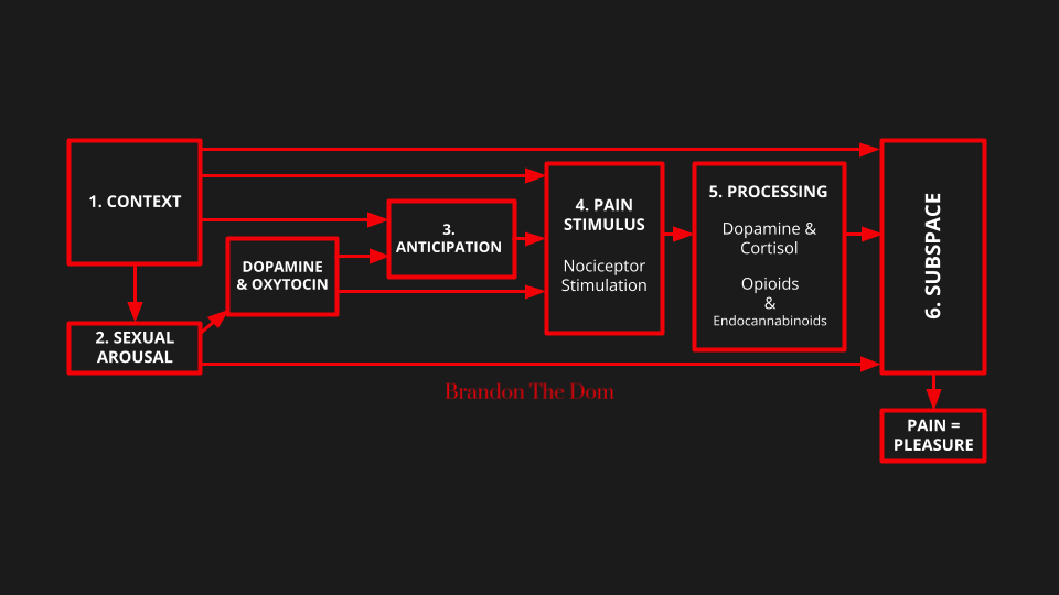 Pain into pleasure research model
