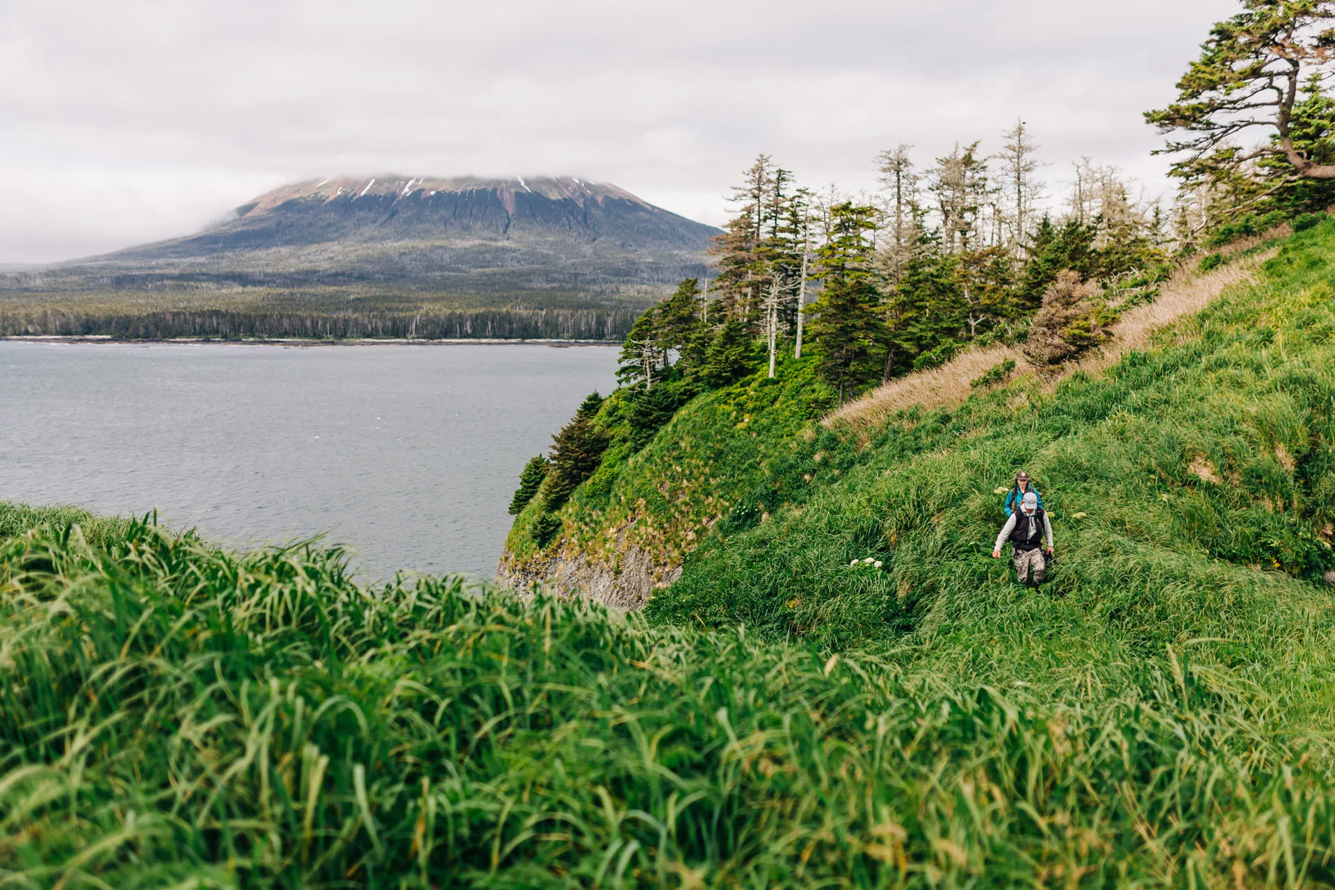 Two hikers walking through tall green grass on a coastal hillside with pine trees and a mist-covered mountain across the water.